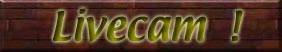 ライブカメラ