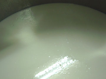 �{���͂���܂łł�