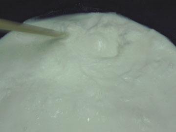 �H�z�C�b�v���H