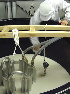 ��������ꂢ��