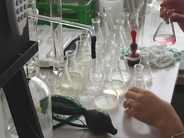 ����͂Ȃ�̌����H